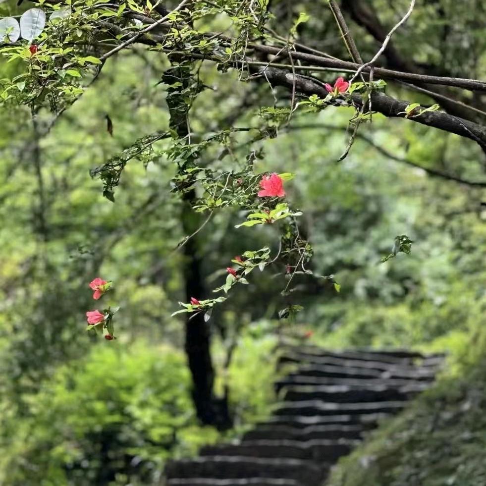 小石潭