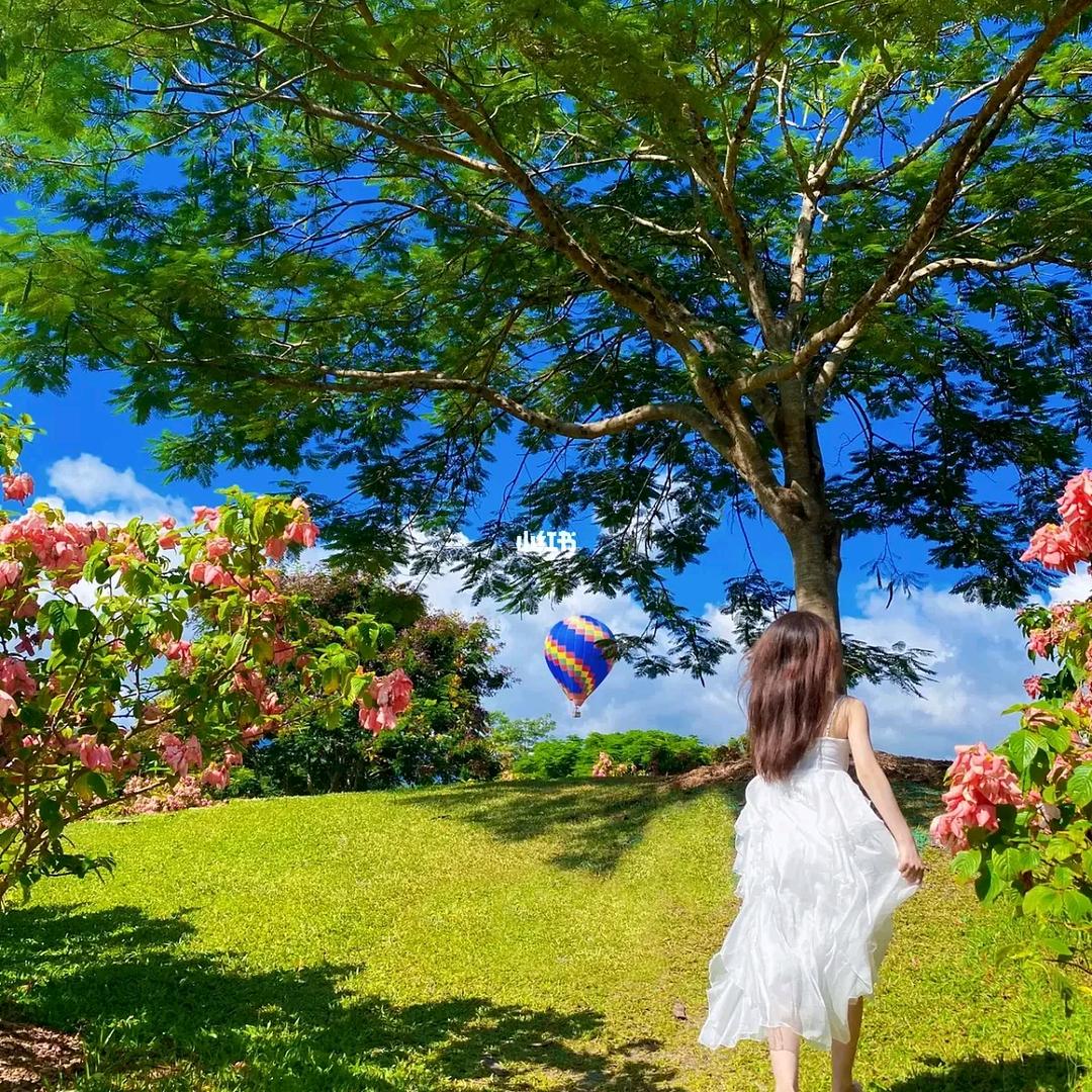 大峰旅游推荐