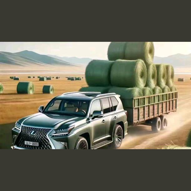 河南六六打包离田队