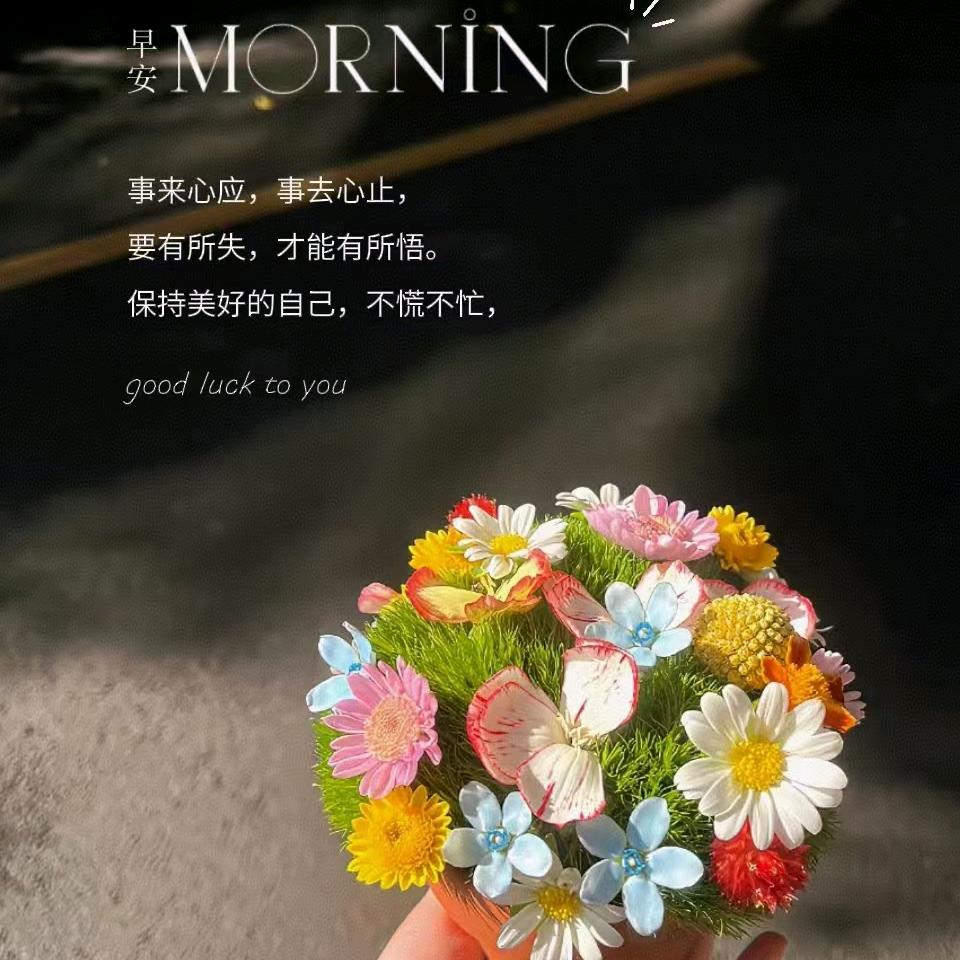 安然a