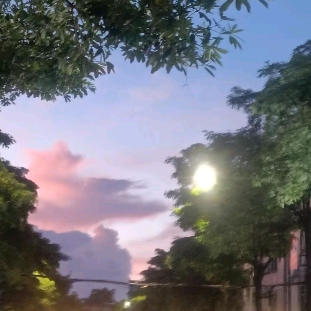 (●万丈深渊(●)