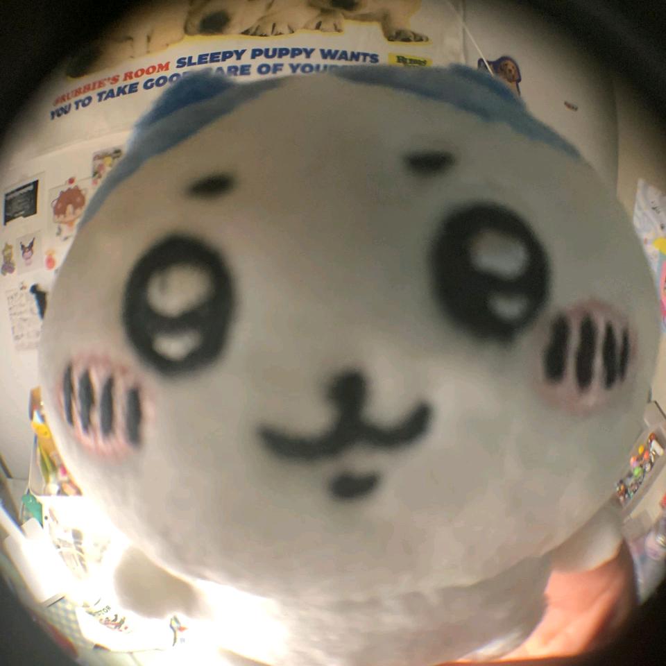 正在做了