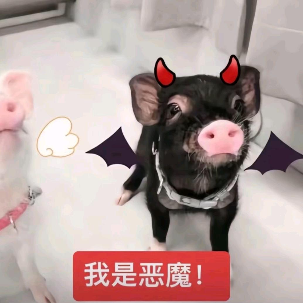 我的女朋友很可爱