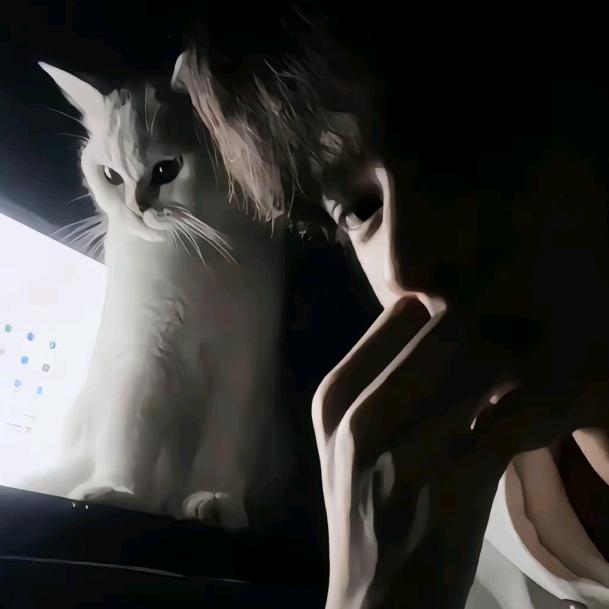 赵宝  ѕнєи