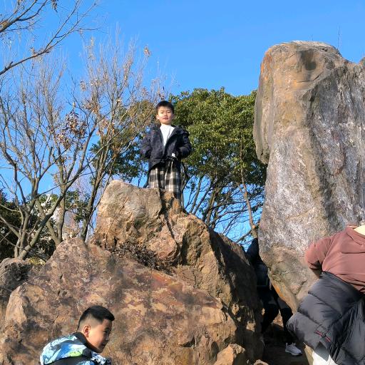 春风十里