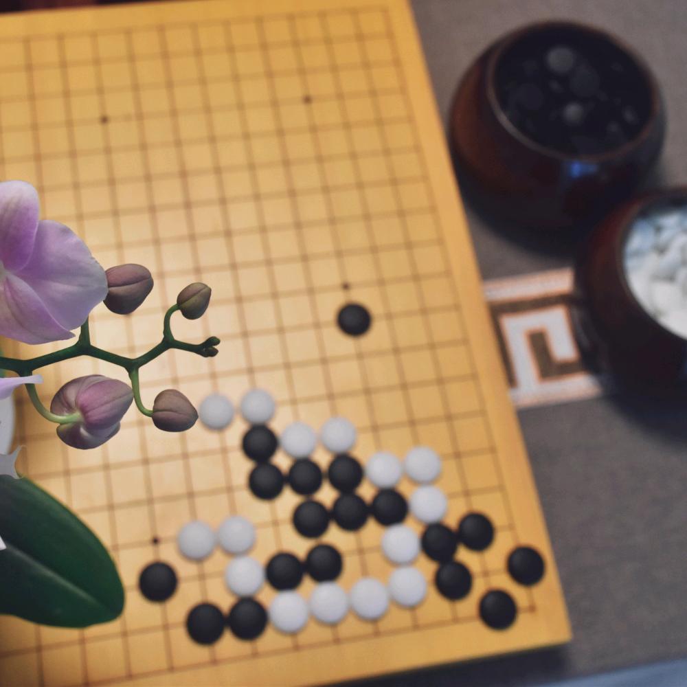 棋林五熊🐻