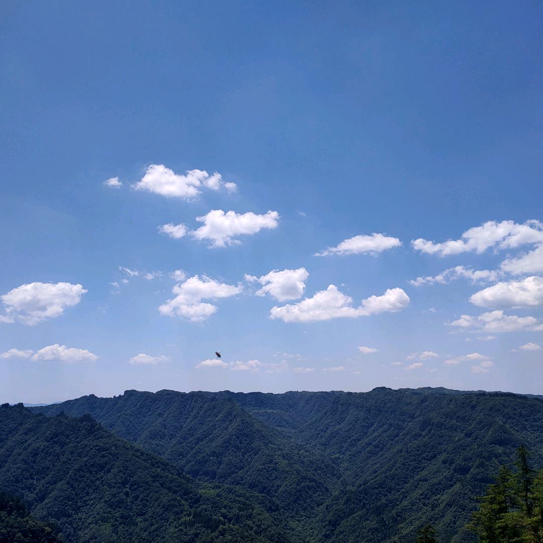 沧海一声笑