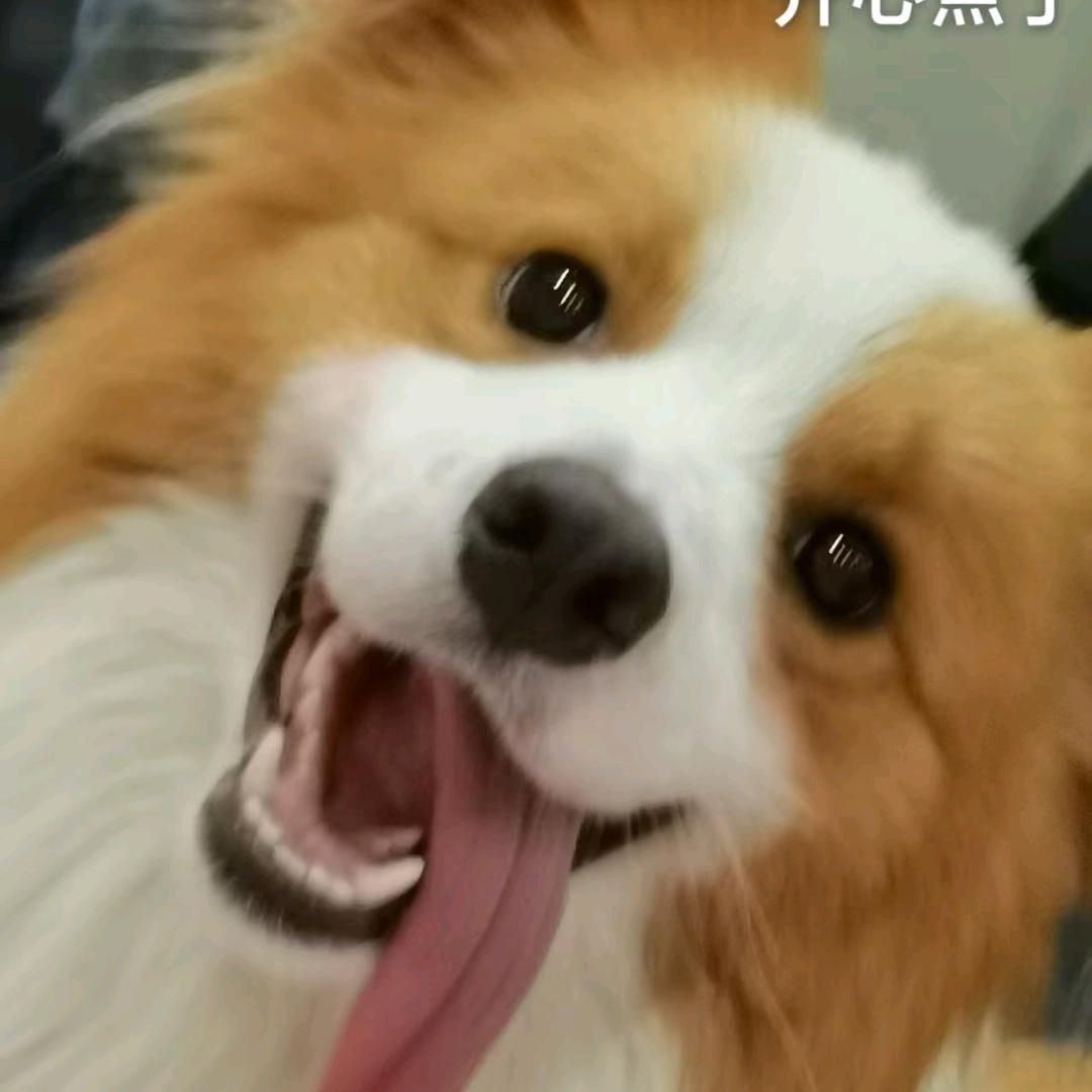 哎呀，无所谓
