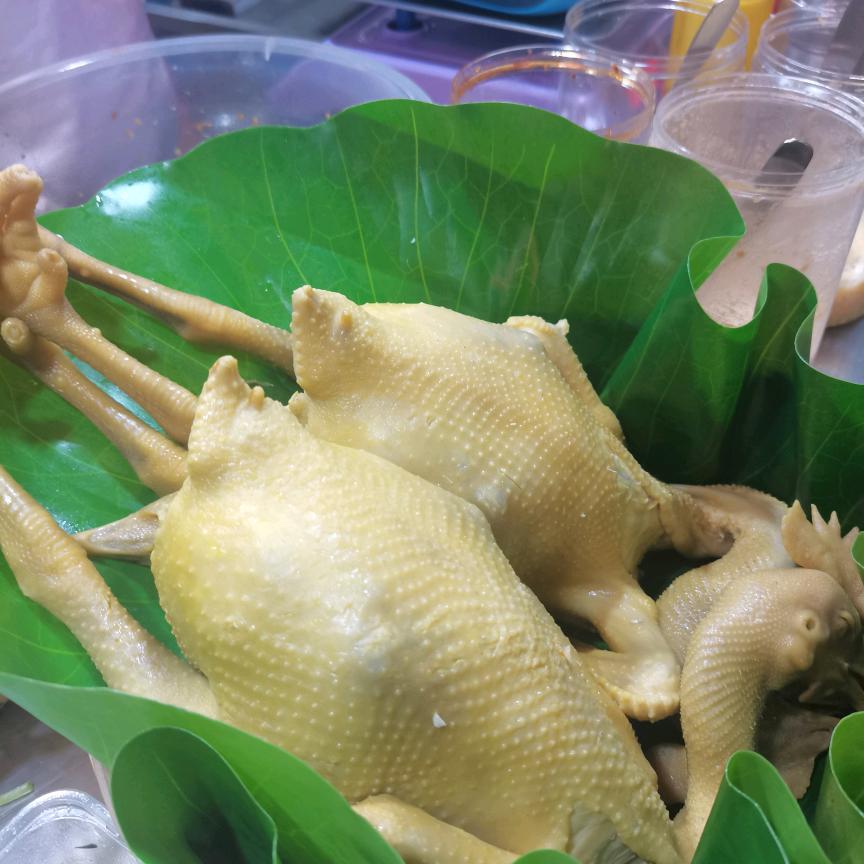 （🐔你太美）脆皮手撕鸡头像
