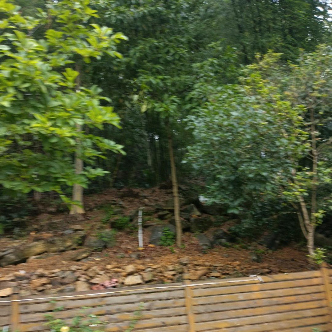 家装师傅