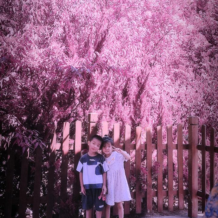 微笑前行🇨🇳