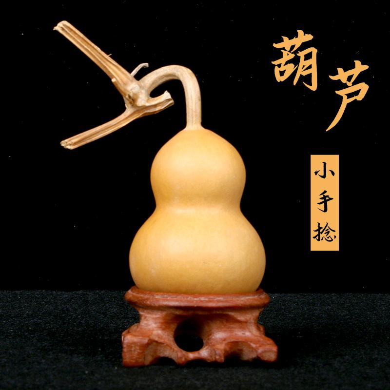 初见葫芦