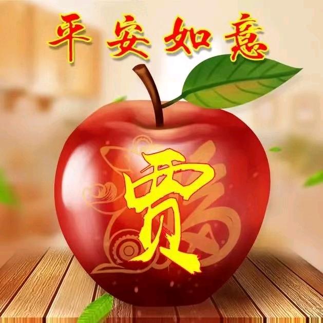 心无所属，随遇而安