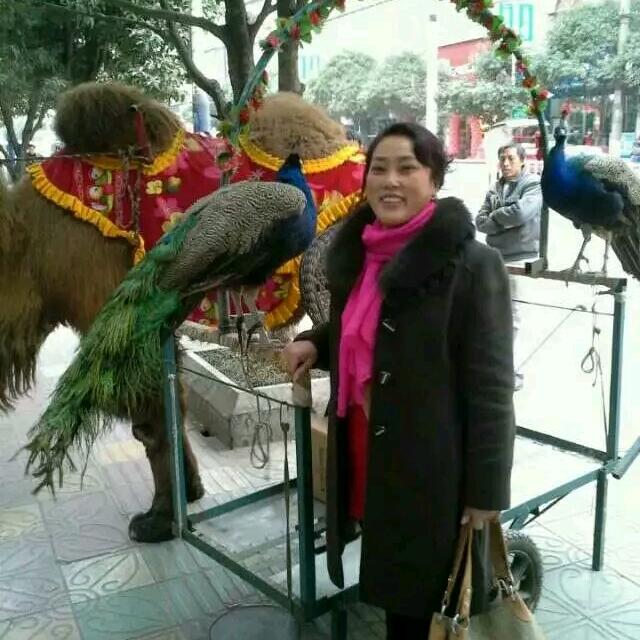 姐妹家电批发商行