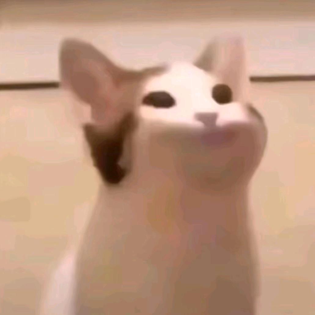 Bmiao