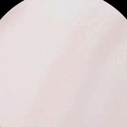 纸鹞🪁