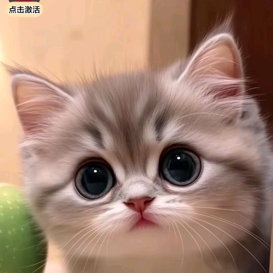 爪爪乐乐园