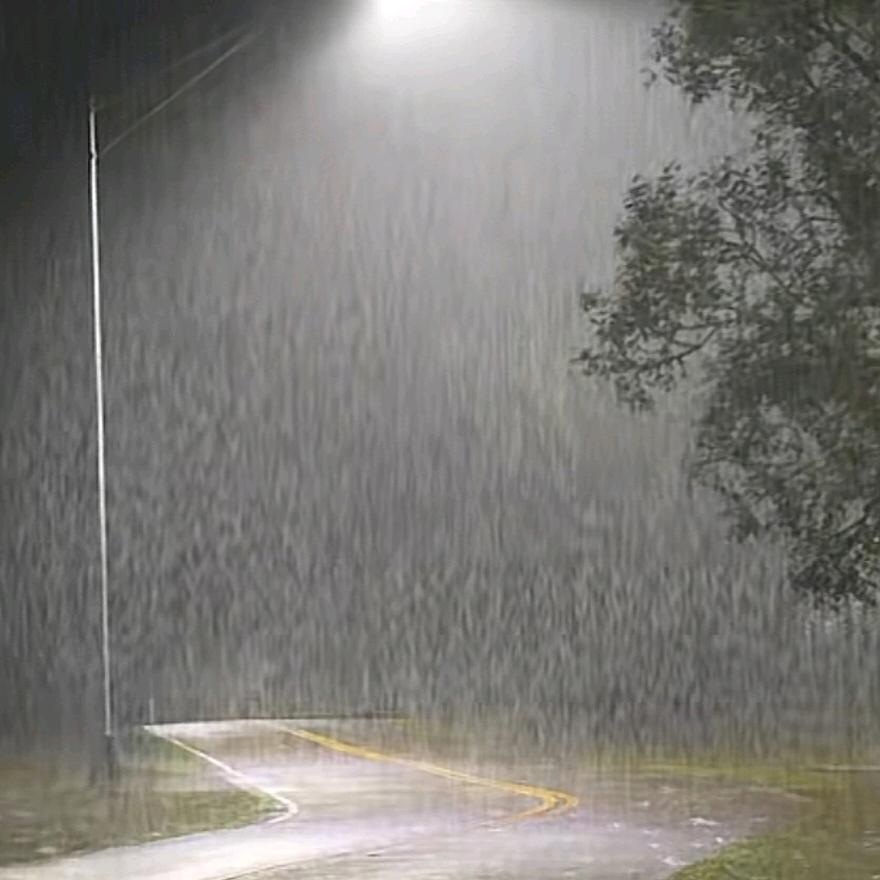 寒雨