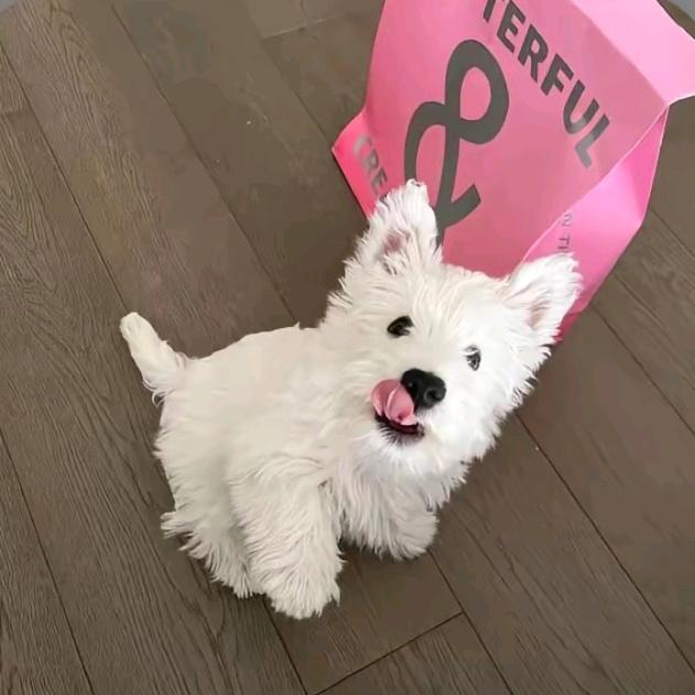 恋小郁૮ ´͈ ᗜ `͈ ა♡