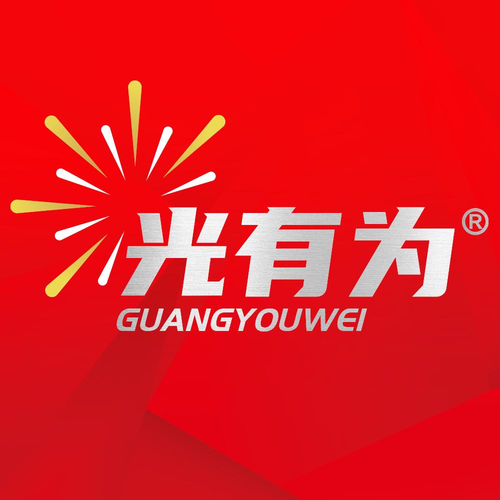 光有为LED车灯企业店