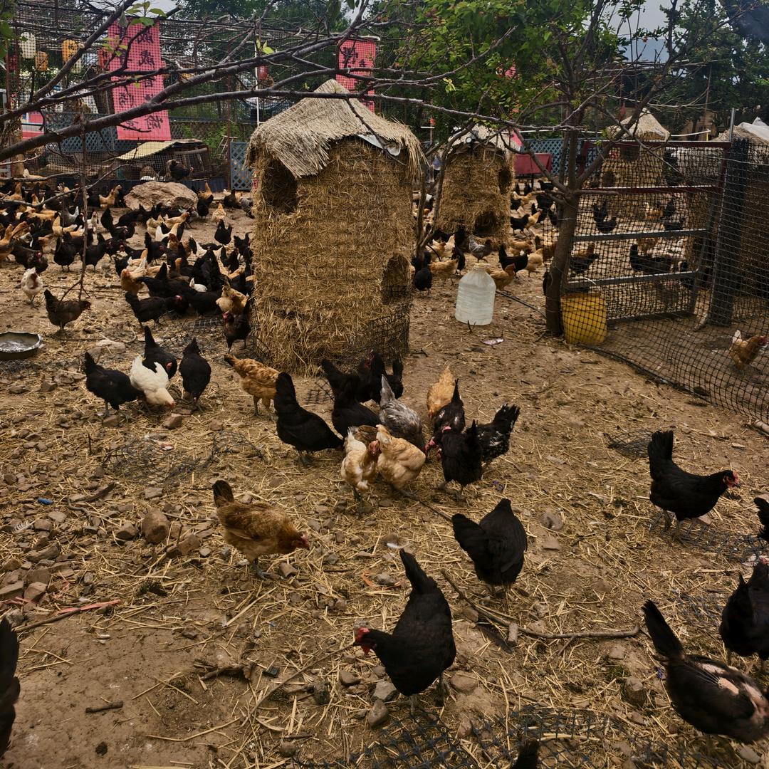 丰密农场