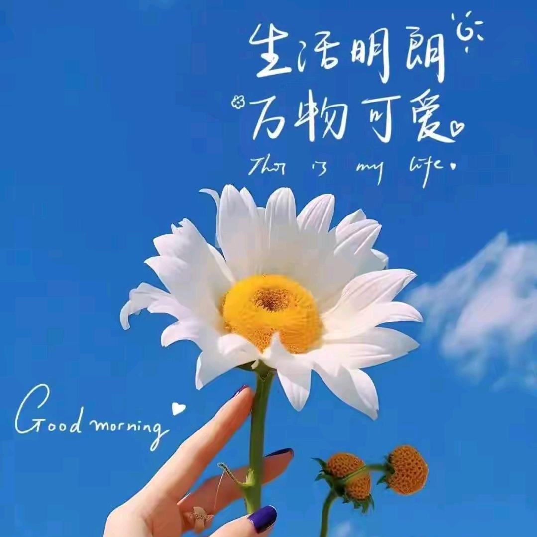 🌺   默