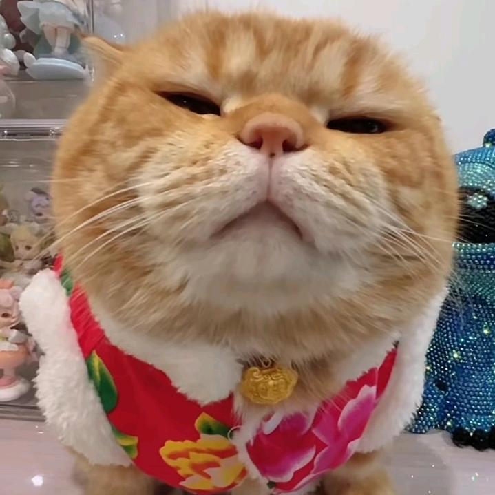 啾啾啾啾啾啾啾啾啾