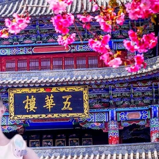 雪鹰