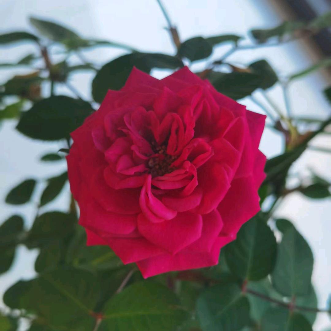 漳州源远机械设备有限公司