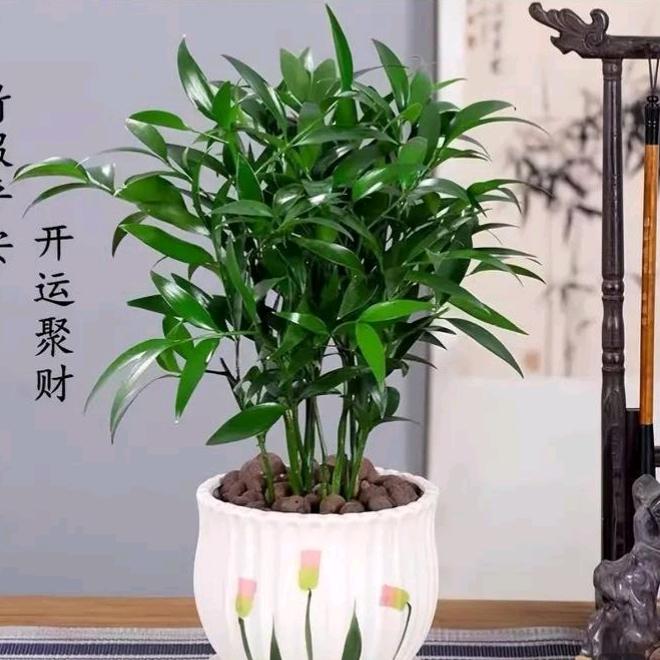 铁塔