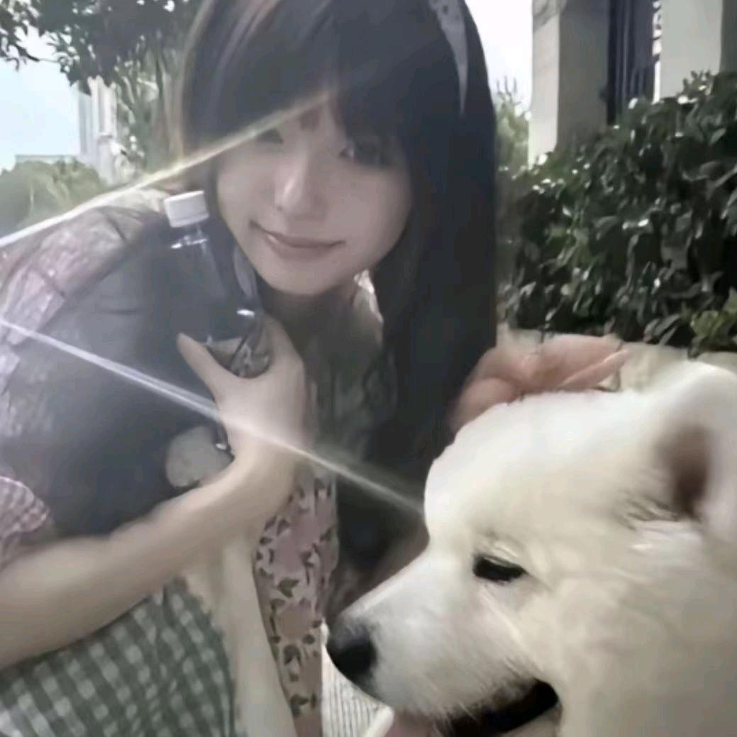 yaya🍞（扎心版）