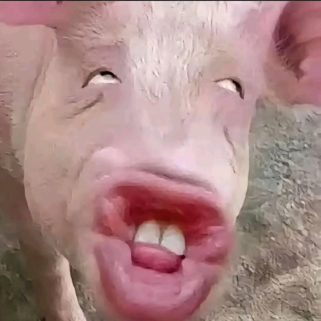 小心点