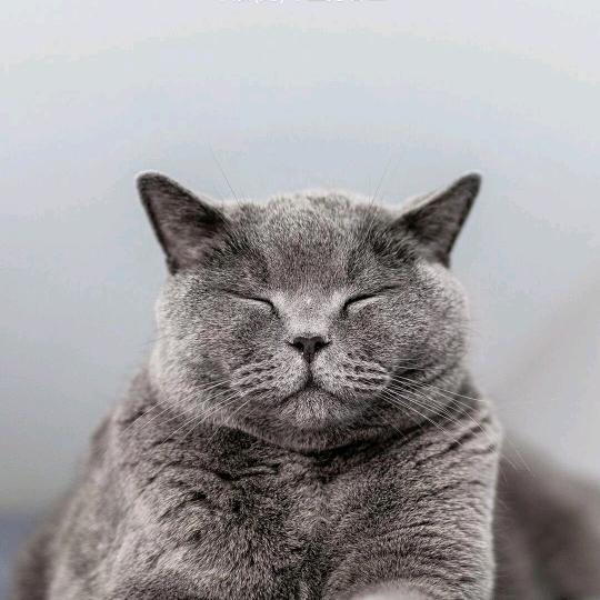 可以回到从前吗