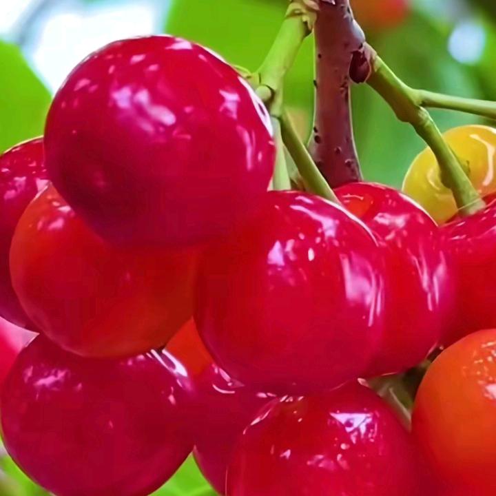 姐的心你不懂