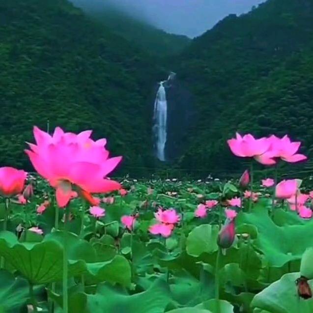 一帆风顺✔