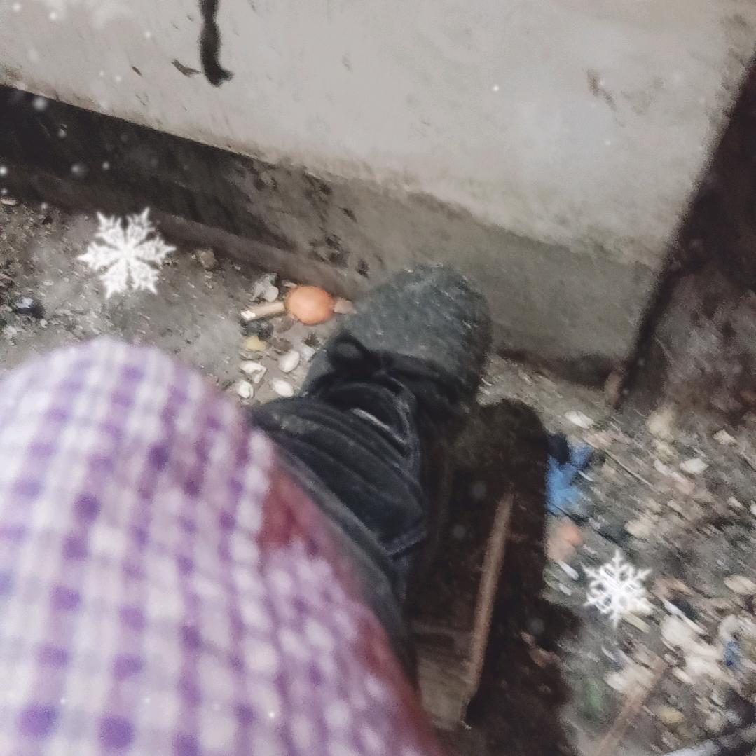 郭召美