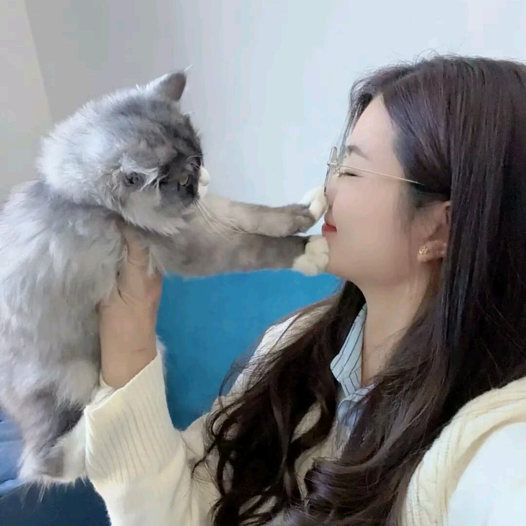 小爱同学🌻
