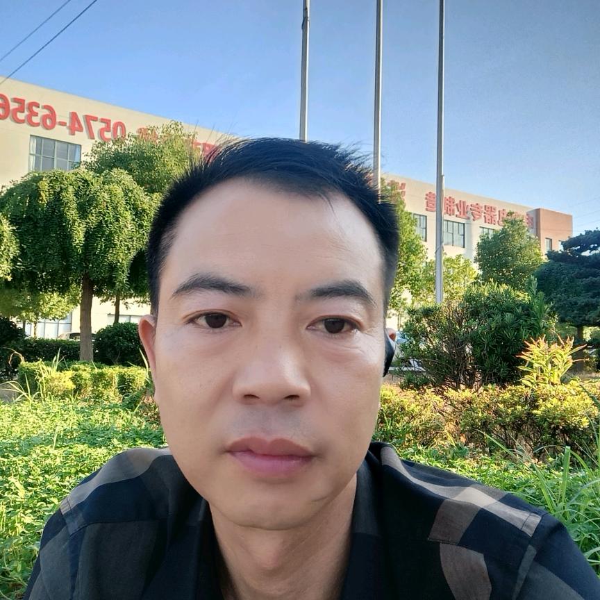 象梦一样自由