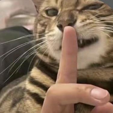 罗-冠希（自律版）