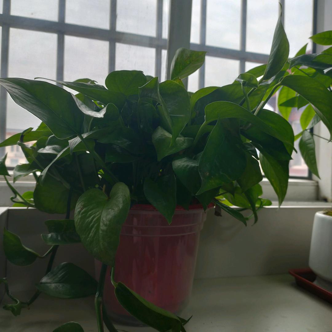 财富天下