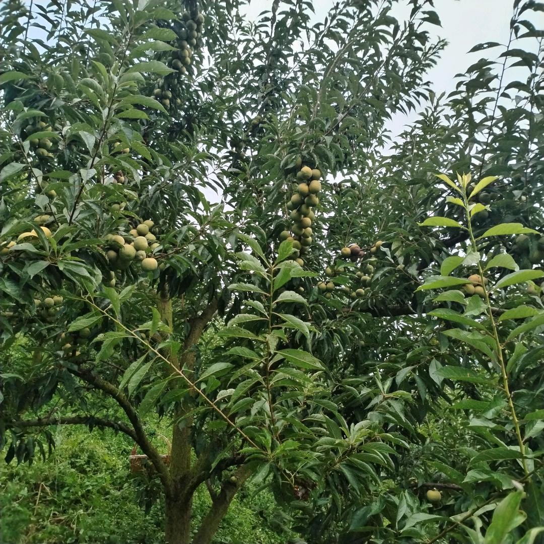 看破红尘