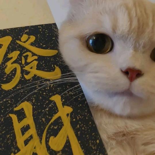 点赞专业户