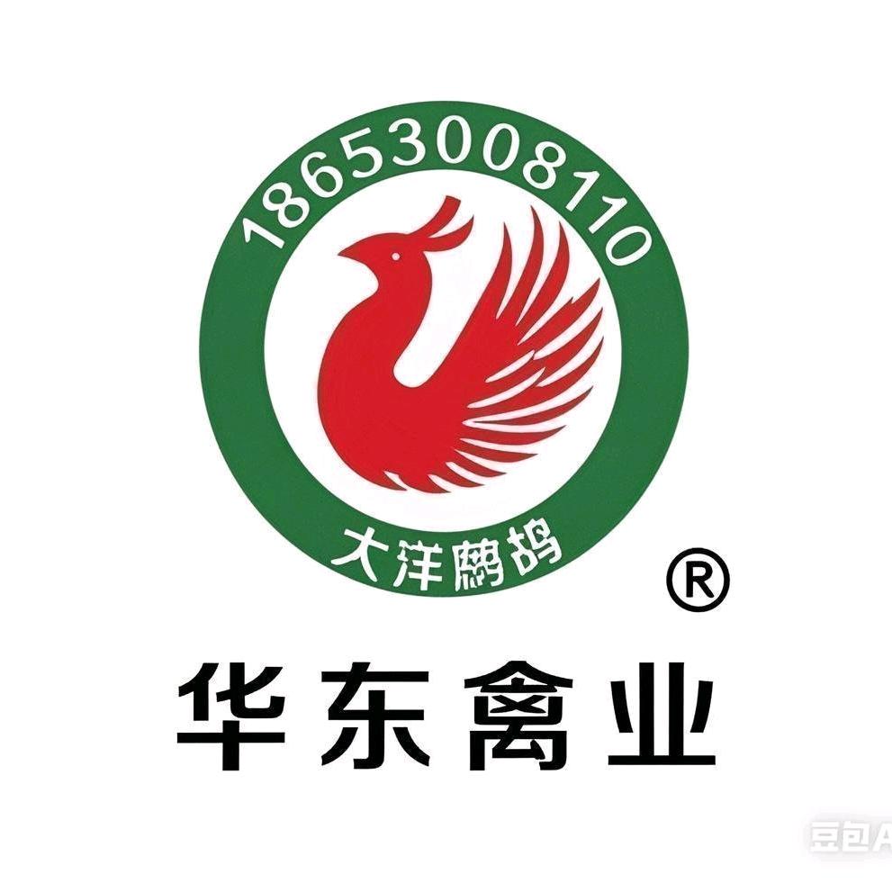 飞龙沙半鸡鹧鸪养殖~东哥