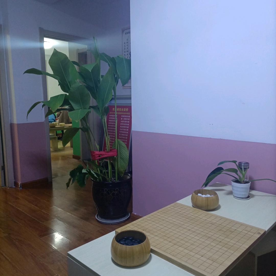 奥园致远棋院