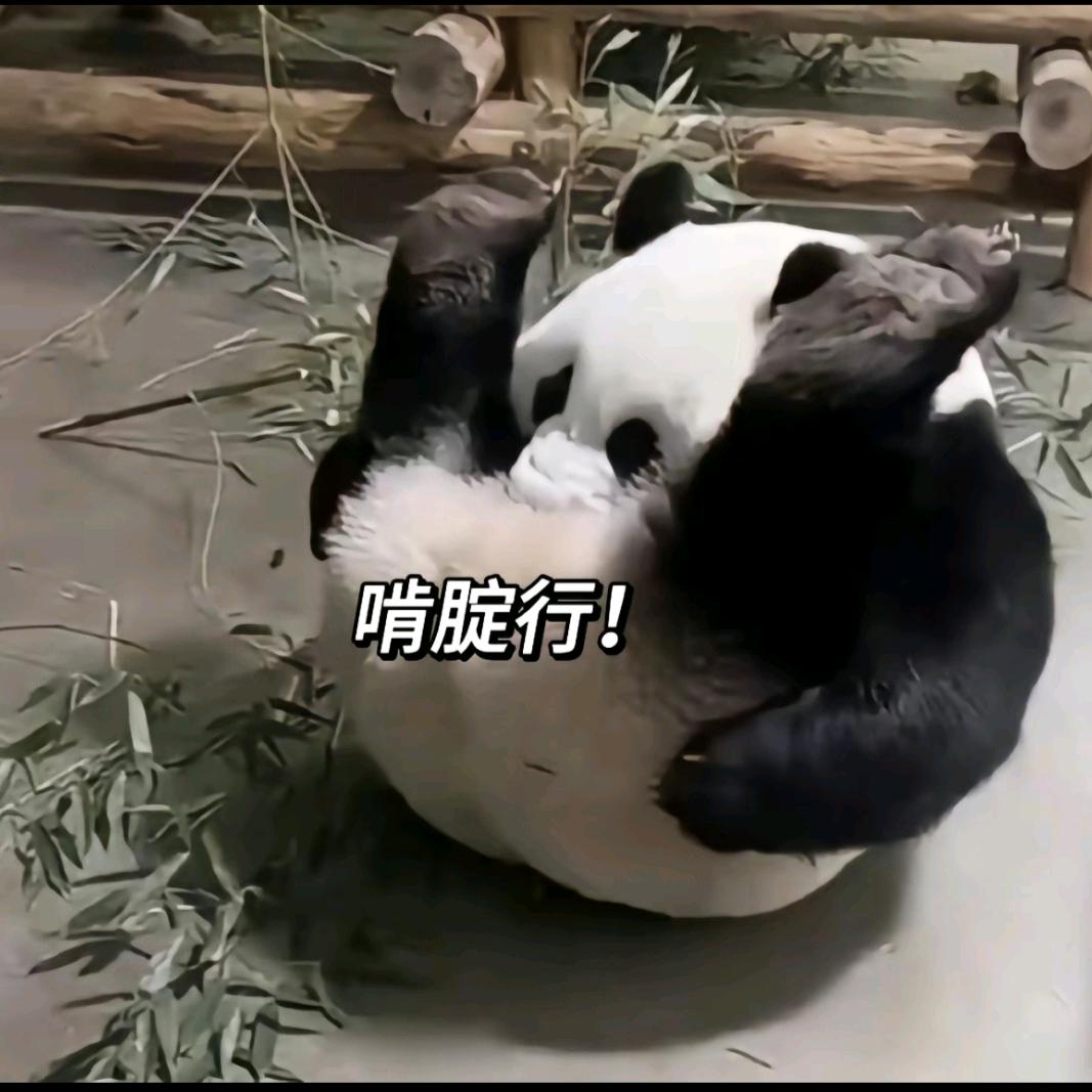 愿望成真😉