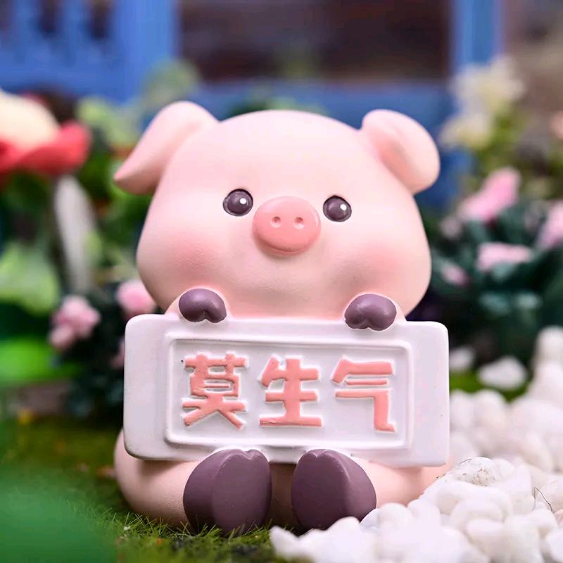 羊羊上小学