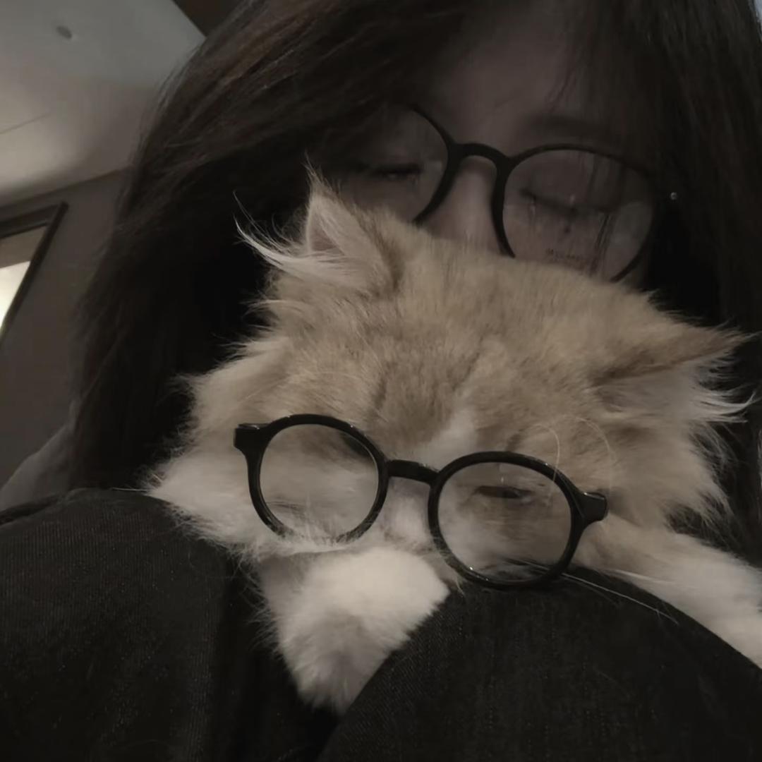 香菜芹菜退退退