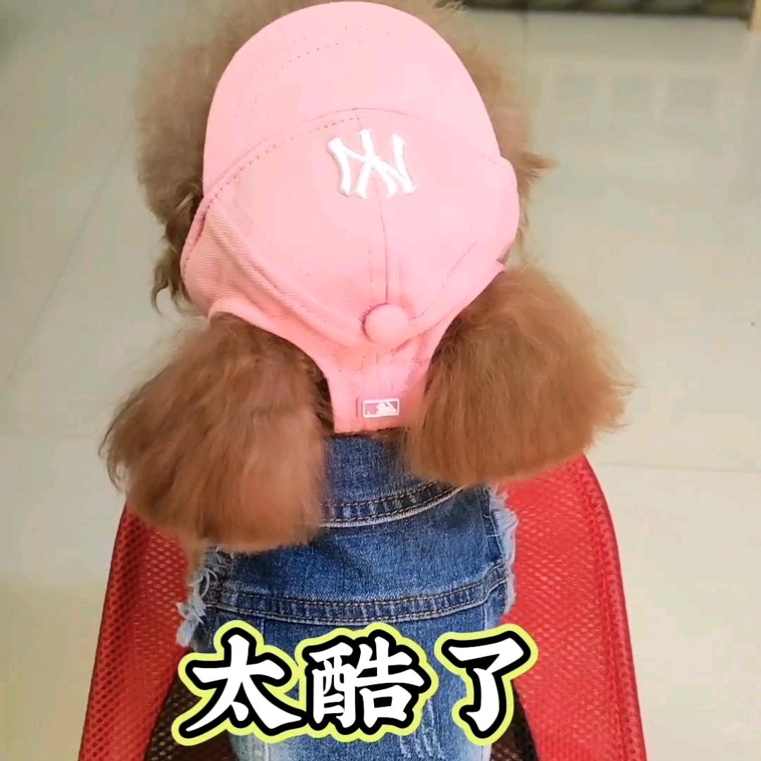 @旺仔～多多👉宠物用品