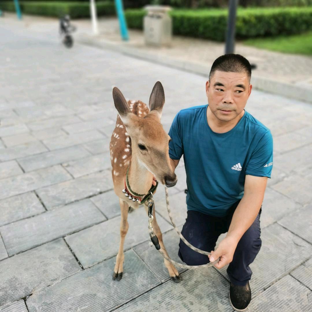 汤阴双健鹿场