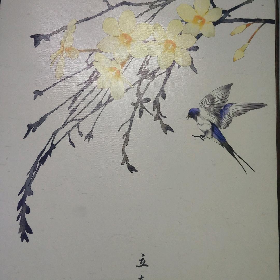 发财树